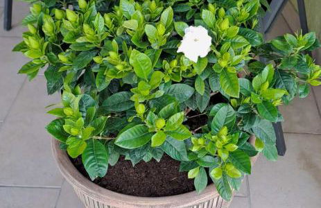 Dimitris place near Athens airport - Foto 32