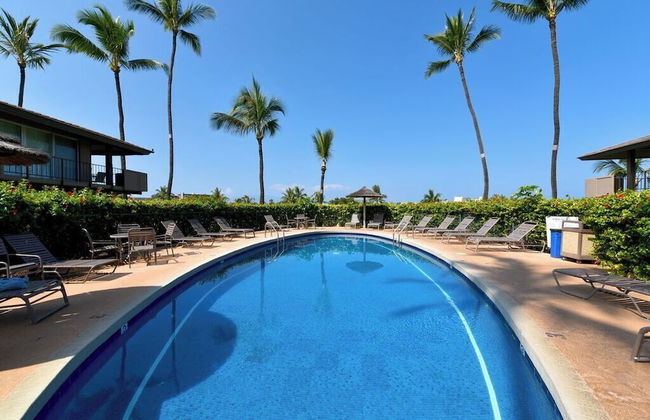 Eldorado K102 - Photo 5