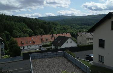 Ruhige Ferienwohnung am Waldrand. - Foto 14