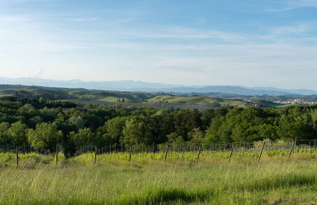 Villa Oliva - Foto 47