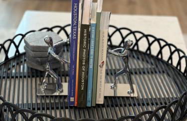 Vibrant Central HTX Vibes - NRG, Med-Center, TSU - Foto 7