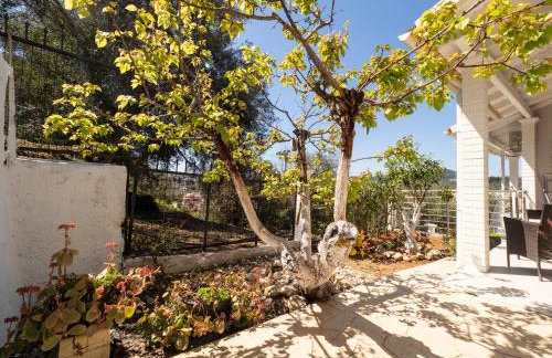 Olea House 2' walk from the sea - Photo 58