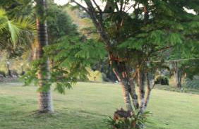 Sítio por do Sol - Pedra Azul - ES - Photo 19