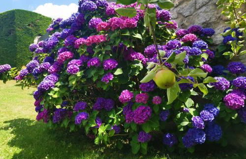 Casa Bellavista Becerril - Foto 27