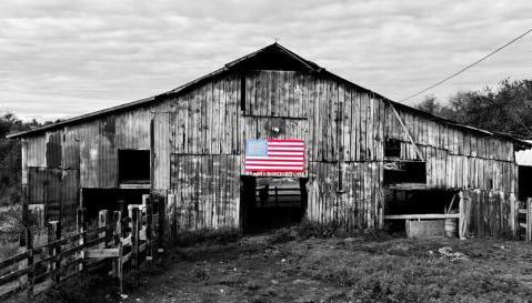 Crocketts Cabin - Foto 4