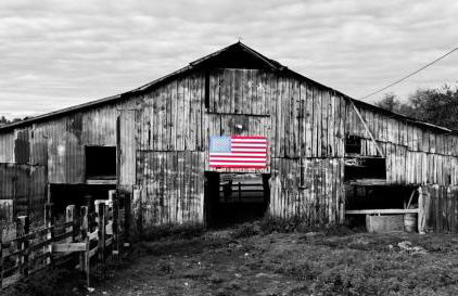 Crocketts Cabin - Foto 4