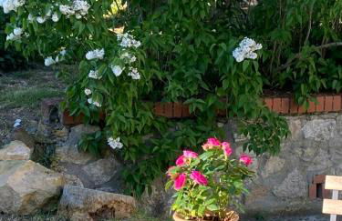 Casa Vacanze Podere San Giusto Volterra - Foto 46