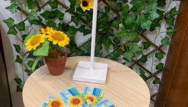 Girasole Marino - Foto 4