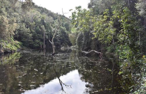 Casa Rural Finca la Maleza - Foto 69