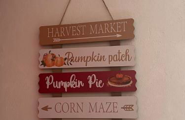 Le cocon de Marckolsheim proche Europapark - Foto 32