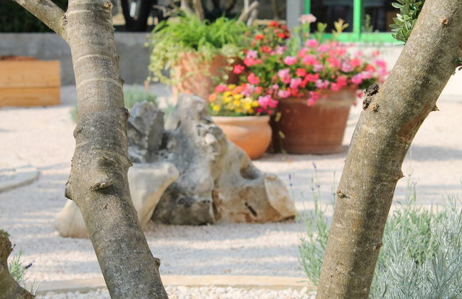 Villa Mandolina Apartments - Foto 20