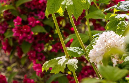 Haus am Schilf - Foto 44