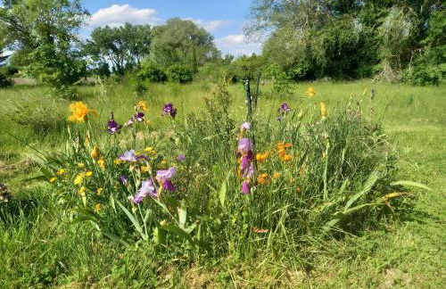 Gîte Harmony - Foto 26