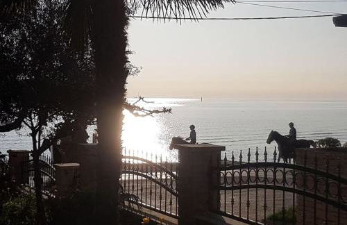 App Maria 1 - Foto 28