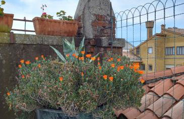 Giudecca Palanca 664 - Foto 42