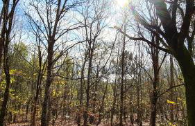 Casa CAMPELO- Playas de Pinténs - CANGAS-HIO- Ría de Aldán - Foto 32