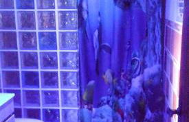 Cozy studio in Valencia de Alcántara 25 m² lovely garden - Foto 18