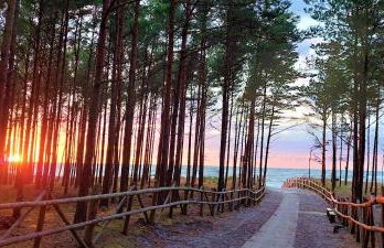 Domki Miłe Chwile - Foto 32