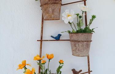 Acuario Benalmádena - Foto 10