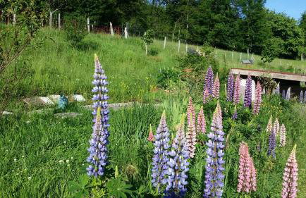 MAISON LUPINS 6 personnes - Foto 18