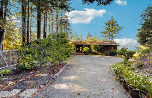 Sea Raven - Photo 22