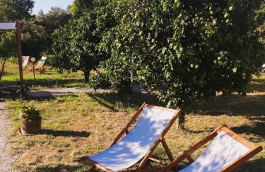 Quinta do Marinheiro - Meco - Foto 22