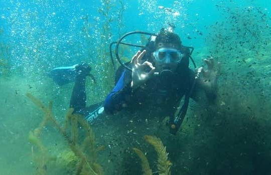 Diving in Correntoso Lake - Foto 6