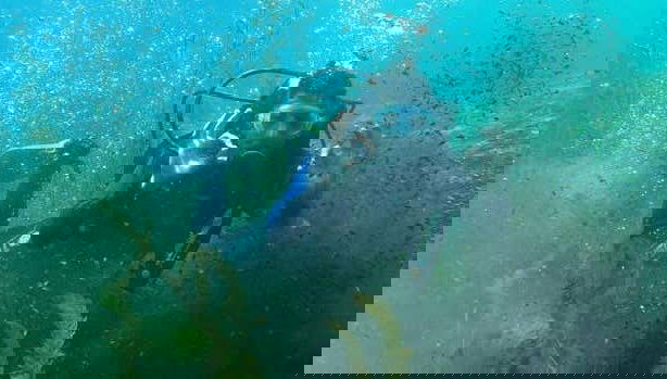 Diving in Correntoso Lake - Foto 1