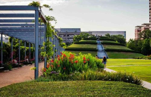 Texan Backyard Vibes l Cowboy Pool & BBQ l Pet-Friendly - Foto 11