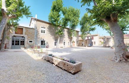 Domaine Paul Huc - Foto 11