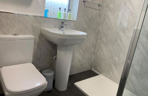 Mountain views in the heart of Brecon Town - Foto 25