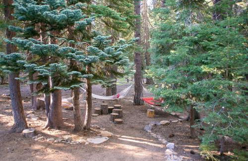 Cozy Tahoe Donner Retreat - Foto 44