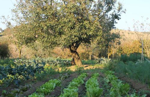 Ginger House - Foto 11