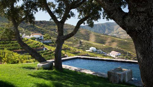 Quinta da Côrte - Foto 4