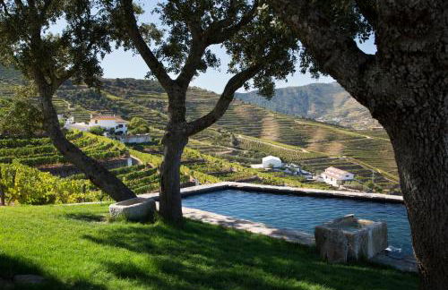 Quinta da Côrte - Foto 1