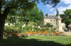 Elysée Darcy - Devosge hyper centre ,Liberté Gare - ville - Foto 3