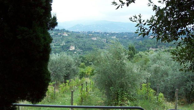 Fattoria Il Milione Agriturismo - Foto 3