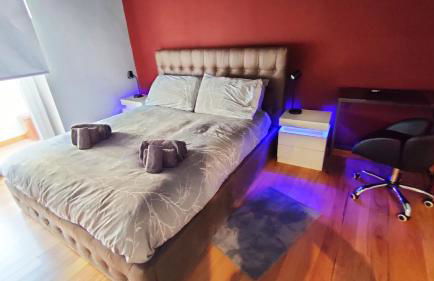 Auditorium Deluxe - Foto 27