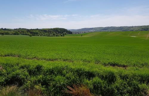 harzholiday - Foto 29