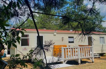 Holenderki na Zielonych Wzgórzach, Łowyń - Foto 1