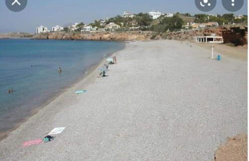 Apartamentos Playamar - Foto 15