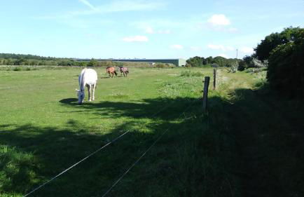 Ferienhäuschen - Foto 36