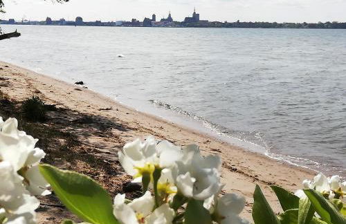 Fewo Rügen Böttger - Foto 21