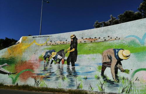 Alcácer Central Apartments - Foto 58