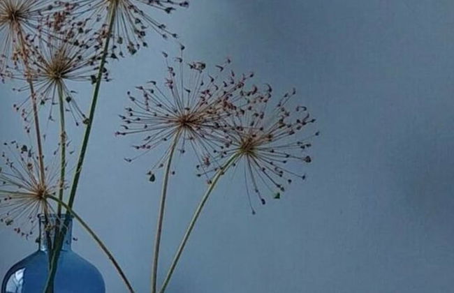 Holiday House House on Muhlfeldsee - Foto 26