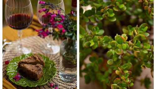 La Casa di Marco, holidays, sea and nature - Foto 2