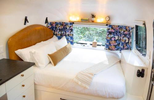 Airstream w Bathtub, River, & Hot Tub - Foto 27