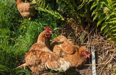 Panoramic Mountain Retreat - Waen Fechan - 4x4 access only - Foto 26