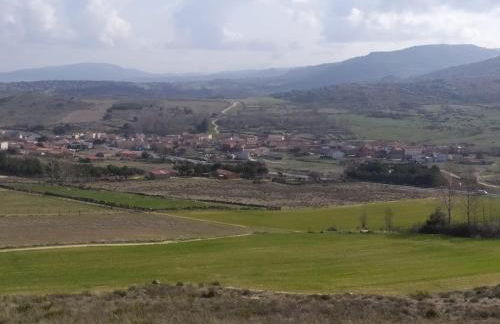 Don Mauricio y periquines - Foto 50