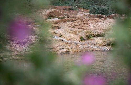 Casa de Pueblo El Patio de las Cebollas - Foto 58